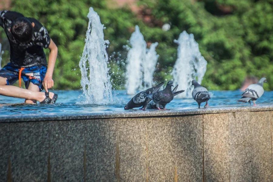 Фото В Новосибирске дети спасаются от жары в городских фонтанах 3
